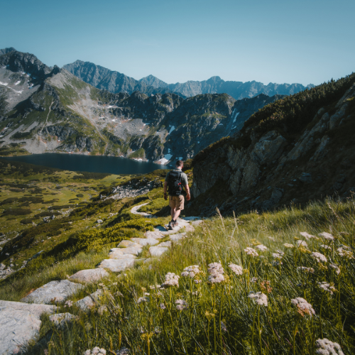 qu'est-ce que le coaching